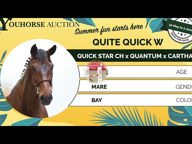 Quite Quick showvideo