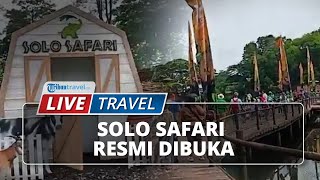 Live: Solo Safari Resmi Dibuka, Koleksi Satwanya Lengkap, Intip Penampakannya