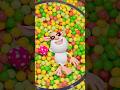 Benvenuti Nel Paradiso Shorts Booba Cartonianimati