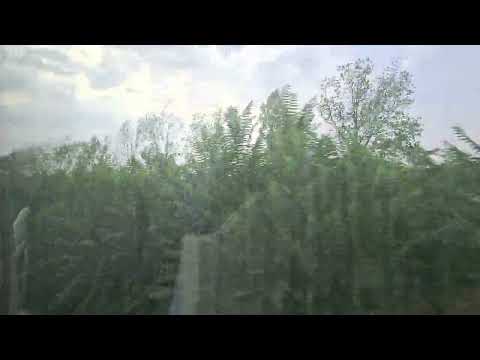 tren regio calatori,brasov mangalia cu 160 fragment pina la sarulesti 16 09 2023