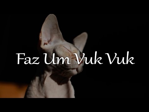 Kevin O Chris, Dj Nk da Serra - Faz Um Vuk Vuk (Letra/Lyrics)
