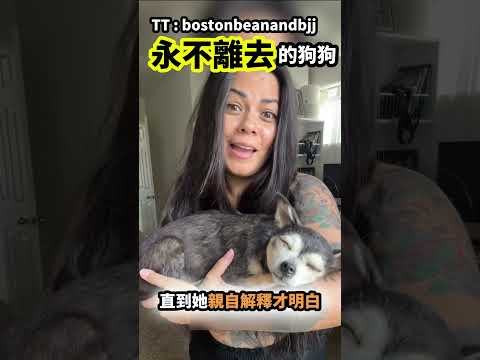 永不離去的狗狗 #shorts