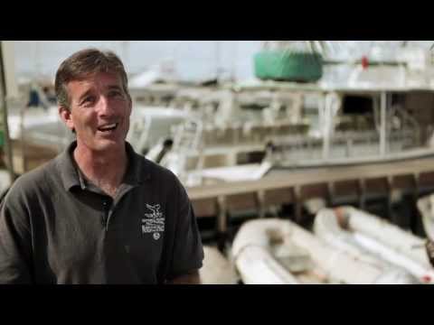 In The Wake of Giants TRAILER