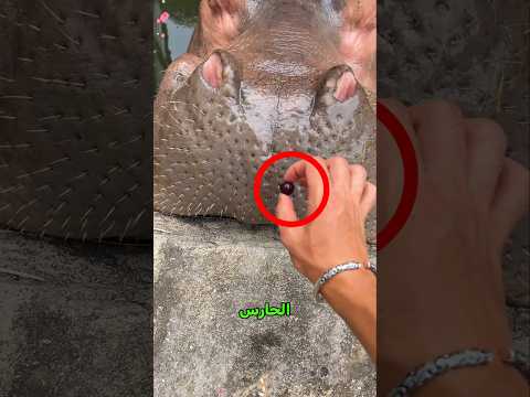 يمازحهم بطريقة تغيظهم!😮