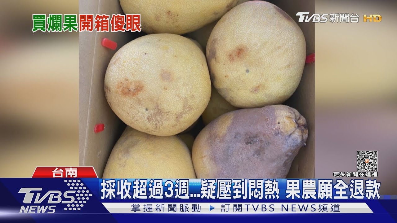 跟試吃的文旦差很大!向柚農團購文旦 拆箱一半爛果