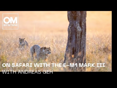 Olympus E-M1 Mark III on safari with Andreas Geh