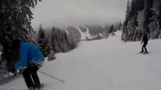 Wolfgang Ambros Skifoan