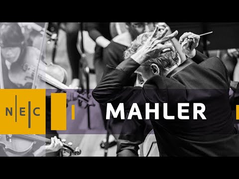 Mahler: Symphony No 3 in D minor 1st Mvmt. [1/5]