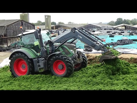 Silage 2020 - Buckraking grass with Fendt 724 Vario plus 724 unloads - Autumn Silage