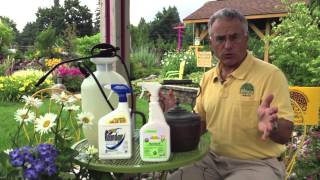 Landscaping Tips - How To Kill Weeds