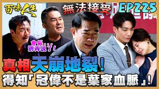 百味人生 EP225 完整版｜崩潰！葉廣成不能接受「冠偉不是葉家血脈」！邱雅菱母子做好準備用假證據猛攻秋香！在記者會抹黑文祥的婚外情！｜Bittersweet Destiny｜【莊廣和堂轉大人萃滴精】