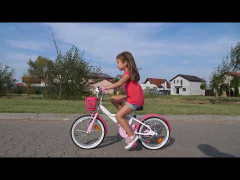 Copilarie in Westfield