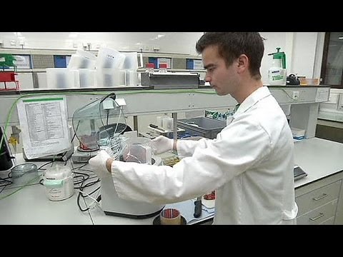 Paesi Bassi: via dal mercato 50 mila tonnellate di carne di manzo mescolata a quella equina