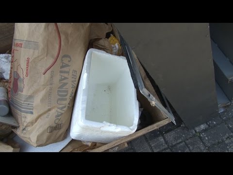 TJ UFSC 01/04/16 - Dengue na UFSC