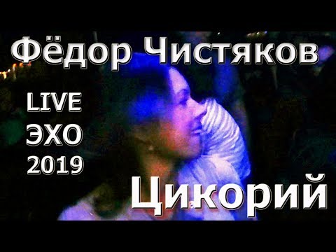 Цикорий - Фёдор Чистяков / Ноль @ Эхо-2019 (Russian Rock Legend Fedor Chistyakov)