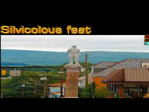 Silvicolous feat Fatt Tarr  My Little Town 2012