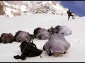 Namaz On The Snow At Siachen