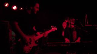 Between the Trees - Gentleman