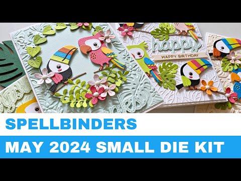 #283 Spellbinders May 2024 Small Die Kit & 3D Embossing Folder - Card Inspirations