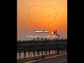 Saiyan Dil Mai Aana Re ️ Teramnanamerajhuthjanare Hindi Lofi Lyric Slow Reverb Song Shorts