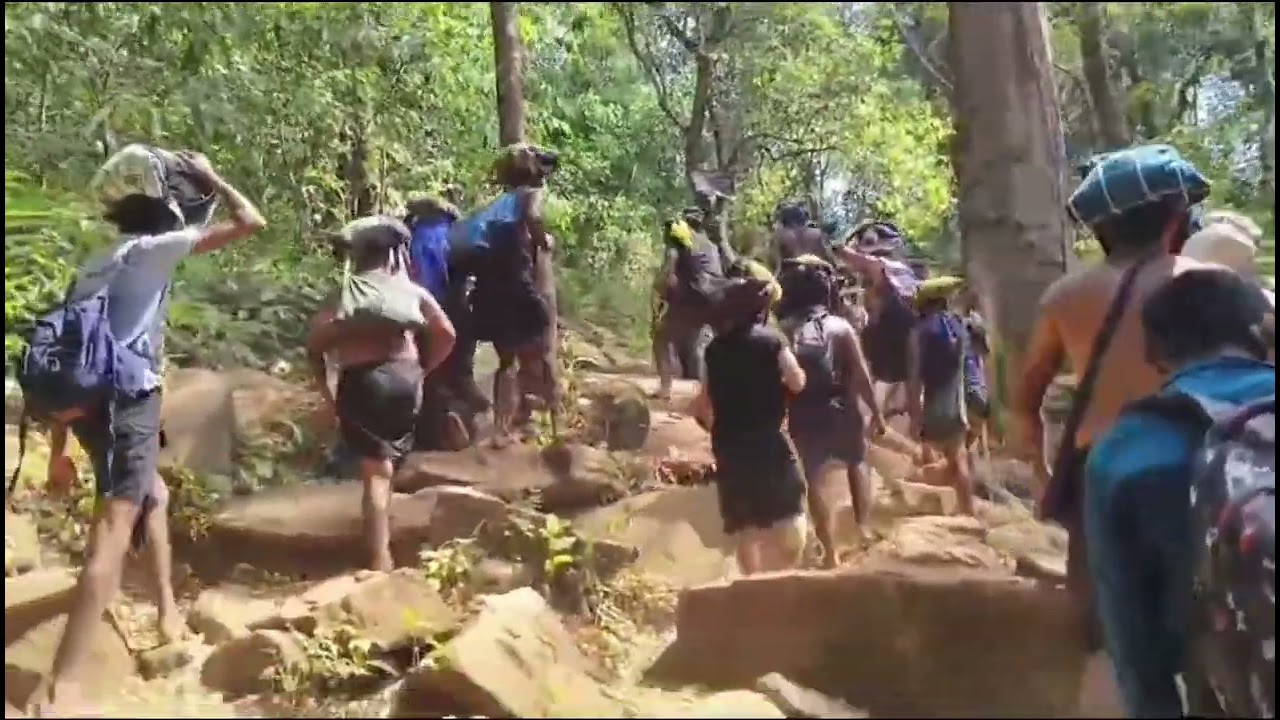 சபரிமலையில்யானைஅழகுசூரியன்தரிஷனம்_ஐயப்பன்_பக்தர்