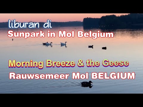 Sunpark Mol Belgium - Morning Breeze and the Geese at Rauwsemeer