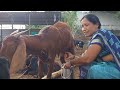 Viral Milk Making Vlog