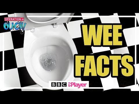 🚽 Facts about WEEEEEEE 🚽 | Operation Ouch | CBBC