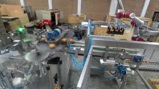 Maquina Envasadora de Bolsa Pre Formada Doypack para Panetones