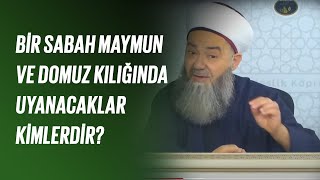 Bir Sabah Maymun ve Domuz Kılığında Uyanacaklar Kimlerdir?