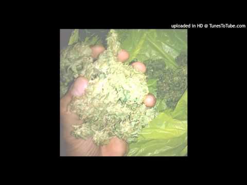 Yung Gazzellini - TAM