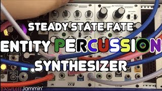 Video thumbnail for SSF Entity Percussion Synthesizer by JAde Wii