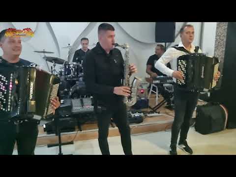 Orkestar Darka Antica LAVOVI & Milan Strasni - Punoletstvo u Krusevcu - Lazarev Dvor