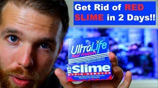 How to Get Rid of Cyanobacteria In 2 Days!!! UltraLife Red Slime Stain Remover