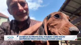 Videomedia Svet — video