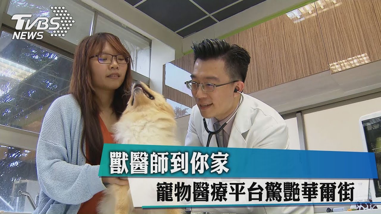 獸醫師到你家 寵物醫療平台驚艷華爾街