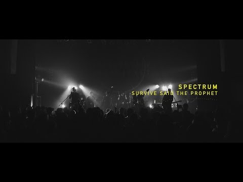 Survive Said The Prophet - Spectrum | Official Live Music Video