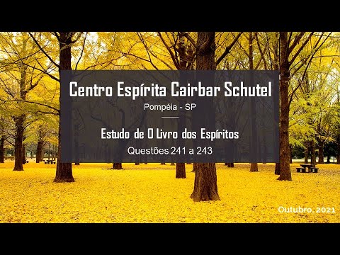 Estudo de O Livro dos Espíritos - Questões 241 a 243