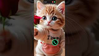 Download lagu #ringtone #smartphone #music #ringtones #song #cat #funnycallringto #callm #iphoneringtone #funny mp3 Download lagu #ringtone #smartphone #music #ringtones #song #cat #funnycallringto #callm #iphoneringtone #funny mp3
