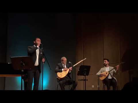 Taylan özgür ölmez - Elqajiye