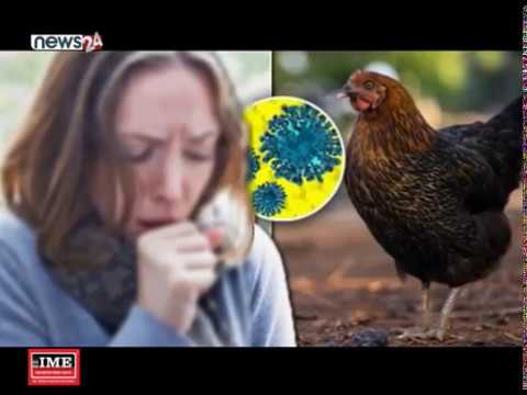 नेपालमा बर्डफ्लूको संक्रमणबाट पहिलो पटक एक जनाको मृत्यु - NEWS24 TV