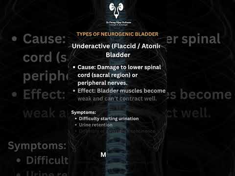 The Vital Link Between Brain, Spine, and Bladder | Dr. Parag Gulhane