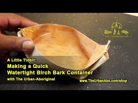 A Little Tidbit: Making a Quick Watertight Birch Bark Container w/ The Urban-Aboriginal