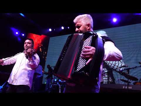 Milan Nikolic & Banda - Cipela