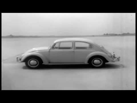 Nite Mrkt - Prefrontal (Music Video)