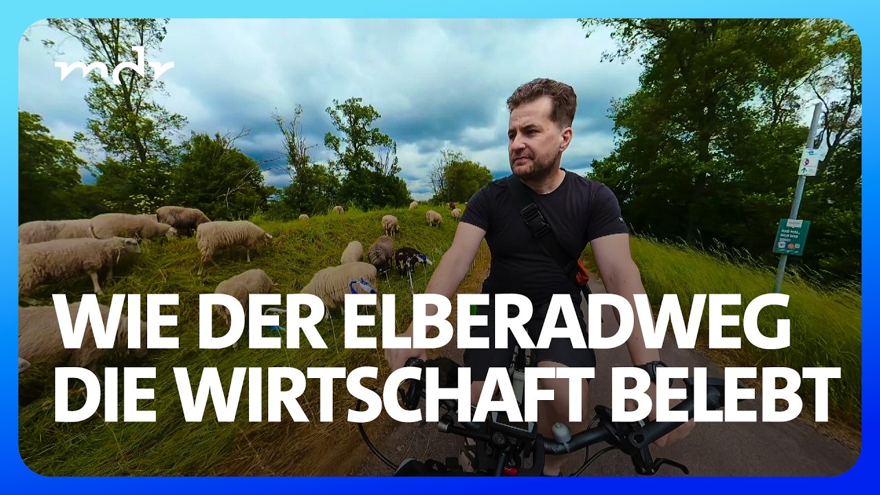 Die Bedeutung des Elberadwegs für Gastronomie und Hotels | Umschau | MDR