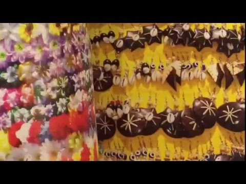 Caminhando com Sophia - A Cultura Visual de Itapuã