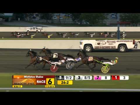 Mistletoe Shalee - Sandbetweenurtoes - July 12, 2014