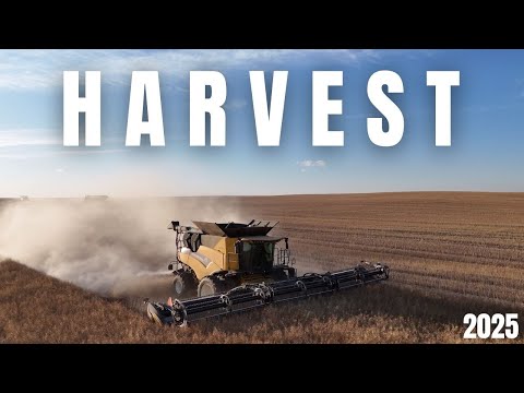 Canola Harvest 2025 | Stories from the People Who Feed Us