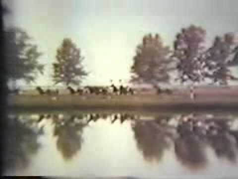 1969 Hambletonian - Lindy's Pride